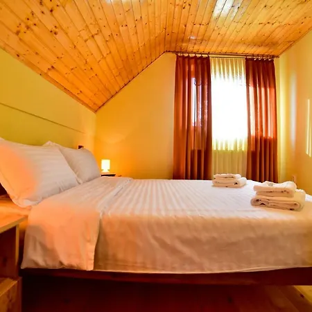 Casa Banu Villa *