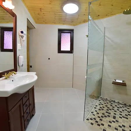 Casa Banu Villa Sibiu